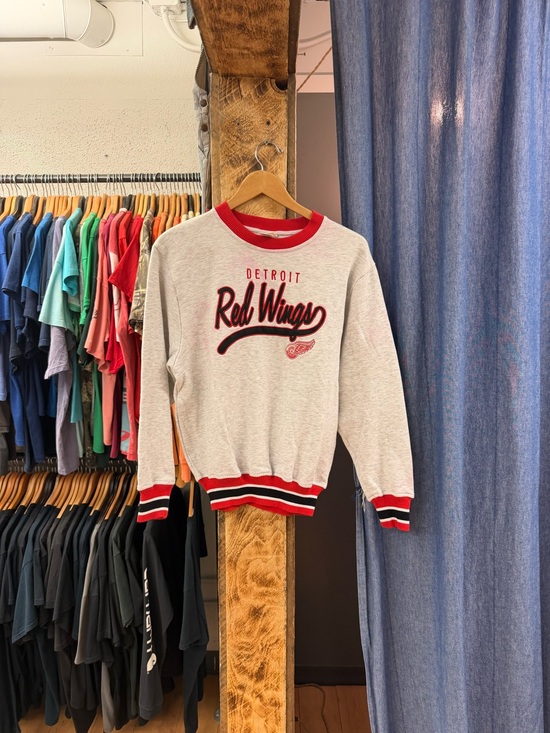 Vintage Other - Vintage Detroit red wings graphic sweatshirt